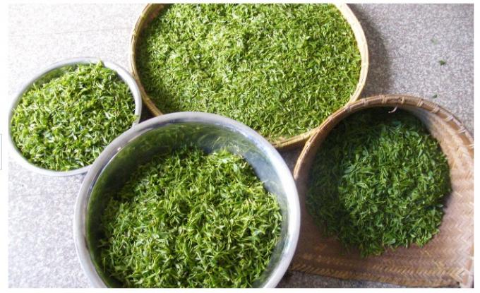 Organik Kavrulmuş yeşil çay, 150g Kavrulmuş yeşil çay, zayıflama, sağlıklı yeşil zayıflama çayı