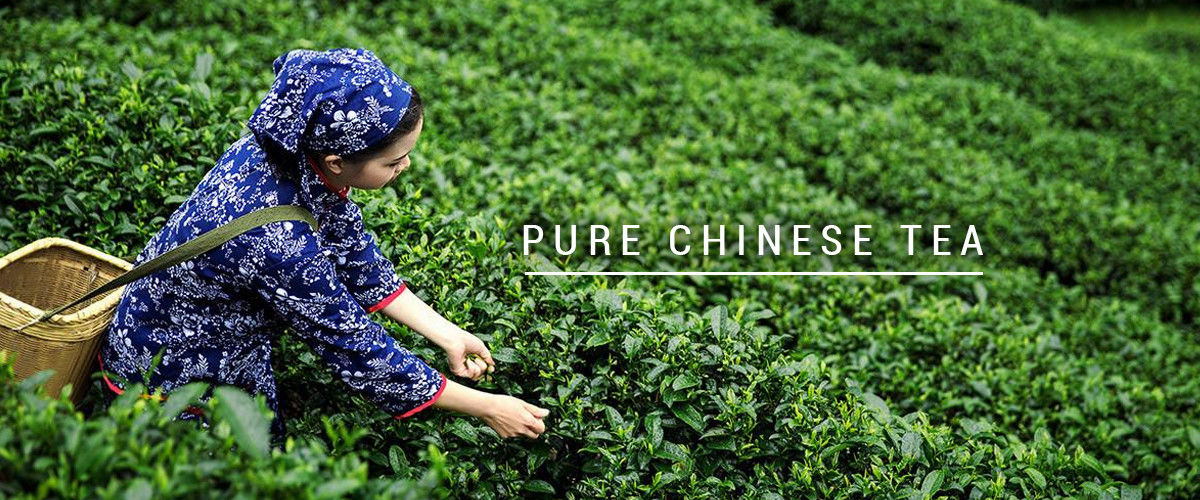 Çin En iyi Organik Oolong Çayı Satış